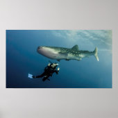 Absaugen für Abdeckung? Poster (Vorne)