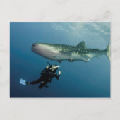 Absaugen für Abdeckung? Postkarte (Vorderseite)