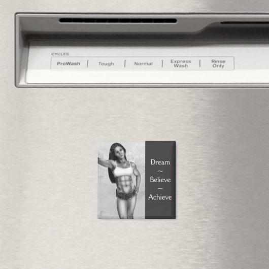 Abschaltung Magnet (In Situ (Geschirrspüler))