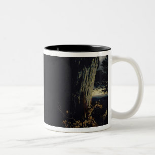 Abschied der Königin-Isabella zu Siebenbürgen, Zweifarbige Tasse