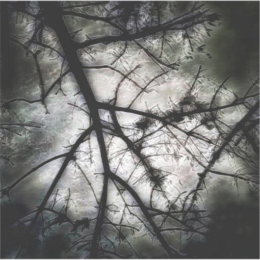 Abschluss Aufkleber (Vorderseite)