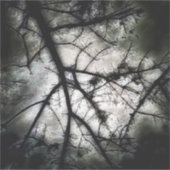 Abschluss Aufkleber (Vorderseite)