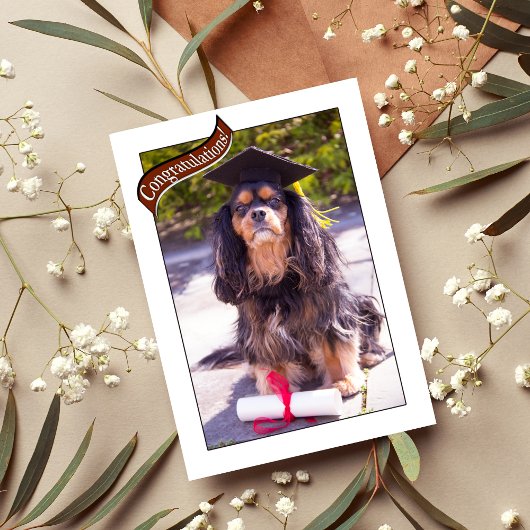 Abschluss aus der Tierärzteschülerkarte Karte