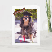 Abschluss aus der Tierärzteschülerkarte Karte (Vorderseite)