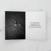 Abschluss Bald Eagle mit Diplom Karte (Innenseite)