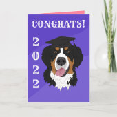 Abschluss Bernese Mountain Dog Karte (Vorderseite)