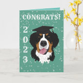 Abschluss Bernese Mountain Dog Karte (Gelbe Blume)
