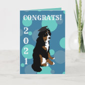Abschluss Bernese Mountain Hund Card Karte (Vorderseite)