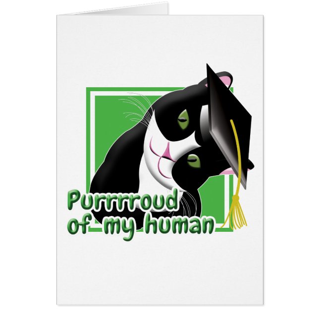 Abschluss Cat (Vorne)