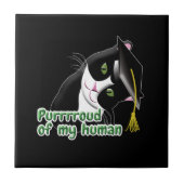 Abschluss Cat Fliese (Vorderseite)