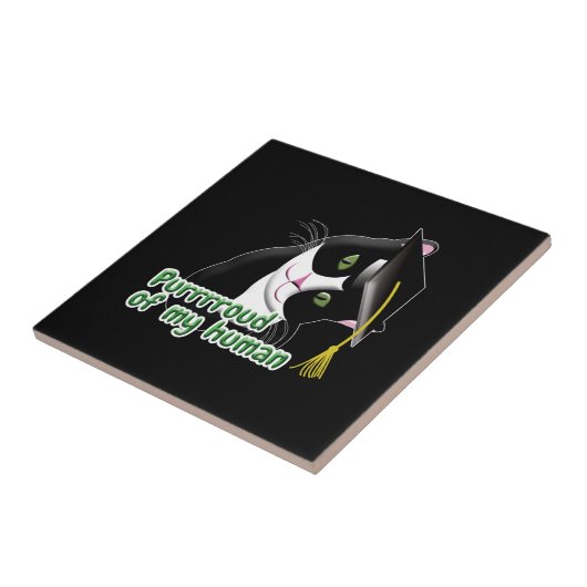 Abschluss Cat Fliese (Seite)