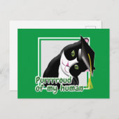 Abschluss Cat Postkarte (Vorne/Hinten)