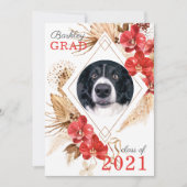 Abschluss der Dog Obedience Ankündigung (Vorderseite)