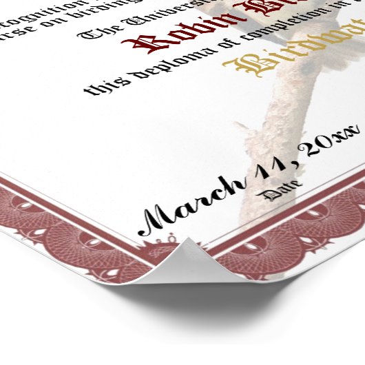 Abschluss der Vogelbeobachtung Poster (Ecke)