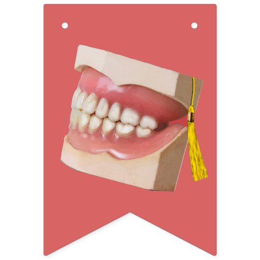 Abschluss der Zahnarztschule Wimpelkette (Dritte Fahne)