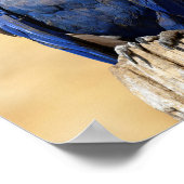 Abschluss des Hyacinth Araw Poster (Ecke)