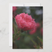 Abschluss (Einberufung) Einladung (Rückseite)