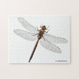 Abschluss einer Darner Dragonfly aus Kanada Puzzle