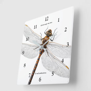 Abschluss einer Darner Dragonfly aus Kanada Quadratische Wanduhr