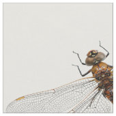 Abschluss einer Darner Dragonfly aus Kanada Stoff (Nahaufnahme)