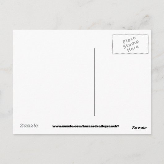 Abschluss Einladung Postkarte (Rückseite)