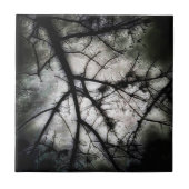 Abschluss Fliese (Vorderseite)