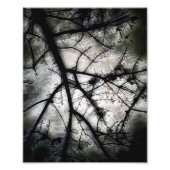 Abschluss Fotodruck (Vorne)