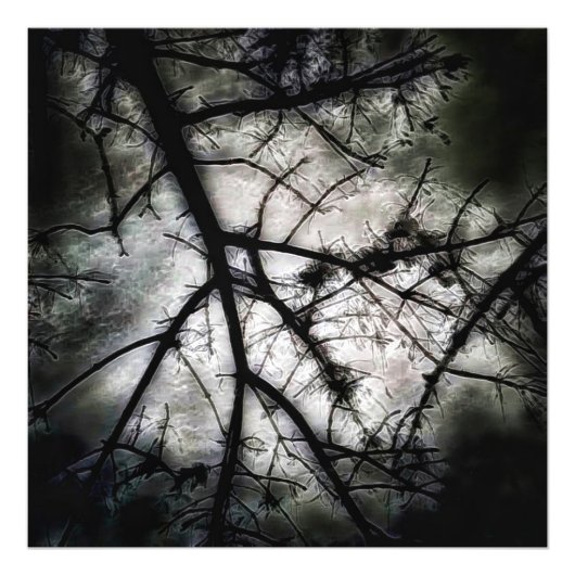 Abschluss Fotodruck (Vorne)