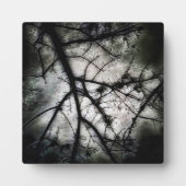 Abschluss Fotoplatte (Vorderseite)