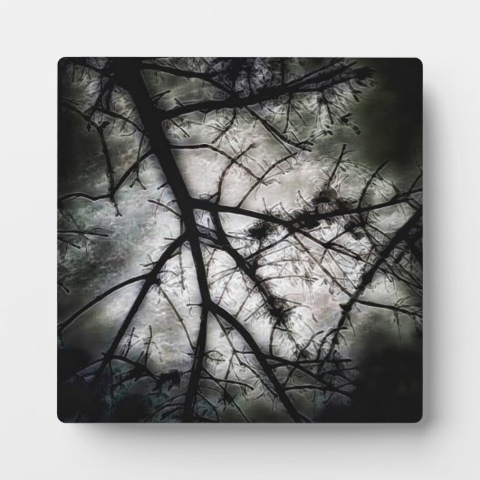 Abschluss Fotoplatte (Vorderseite)