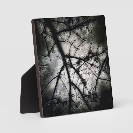 Abschluss Fotoplatte (Vorderseite)