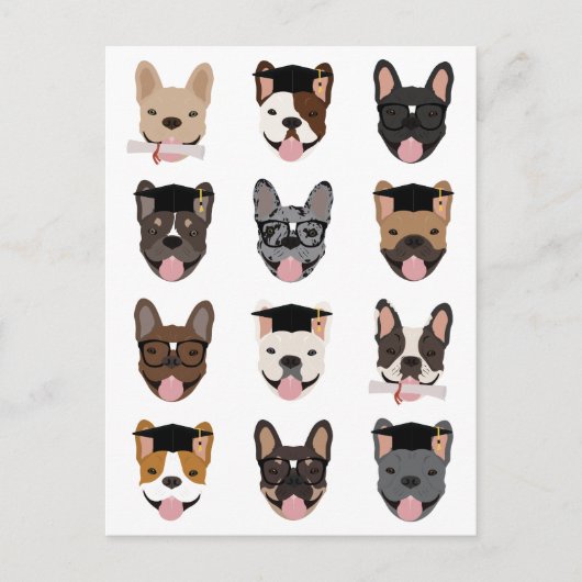 Abschluss French Bulldog Faces Postkarte (Vorderseite)