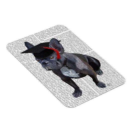 Abschluss French Bulldog Magnet (Rechte Seite)