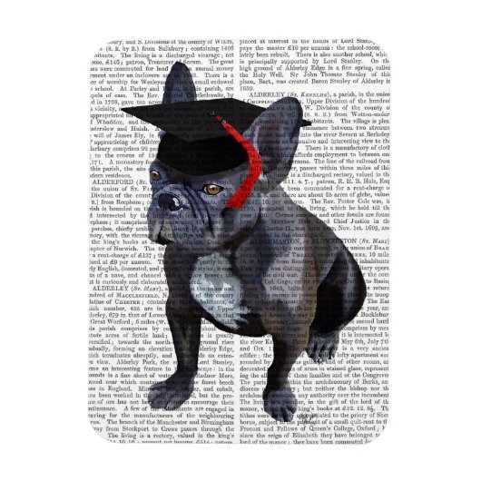 Abschluss French Bulldog Magnet (Vertikal)