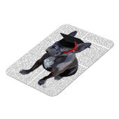 Abschluss French Bulldog Magnet (Linke Seite)