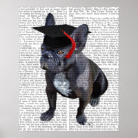 Abschluss French Bulldog