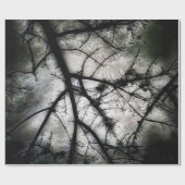 Abschluss Geschenkpapier (Flach)