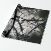 Abschluss Geschenkpapier (Ungerollt)