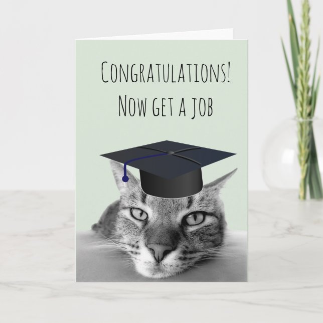 Abschluss Glückwünsche Angry Cat Spaß Karte (Vorderseite)