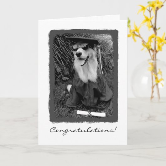 Abschluss-Glückwünsche Karte (Gelbe Blume)