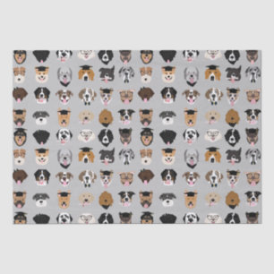 Abschluss Hund-Gesicht Seidenpapier