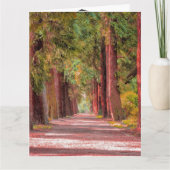 Abschluss-Karte Karte (Vorderseite)