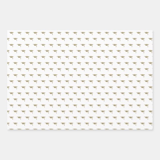 Abschluss Klassisches Gold Geschenkpapier Set (Vorderseite)