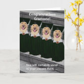 Abschluss-kriminelle Gerechtigkeit Karte (Gelbe Blume)