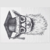 Abschluss Llama Seidenpapier (Vorderseite)