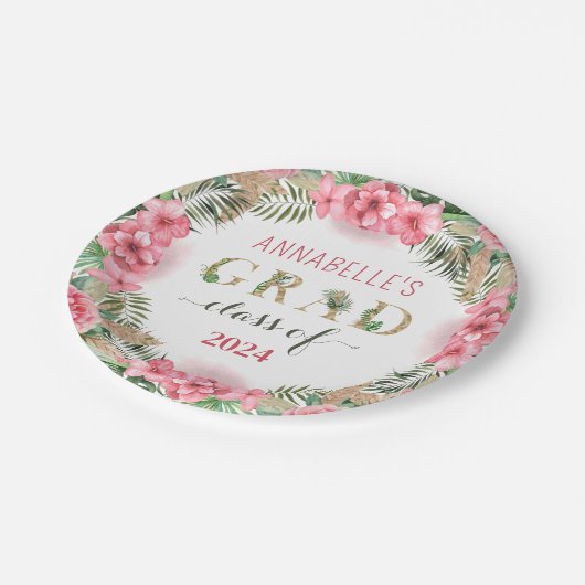 Abschluss Luau-Klasse 2024 Pappteller (Schrägansicht)