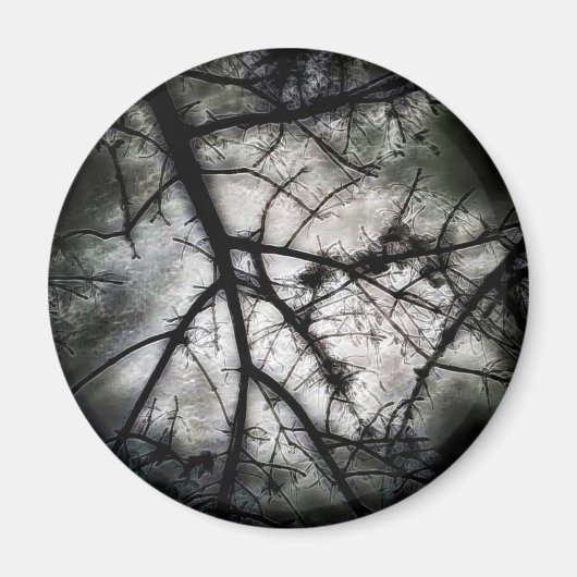 Abschluss Magnet (Vorne)