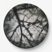 Abschluss Pappteller (Vorderseite)