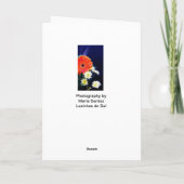 Abschluss-Pfauenfeder Karte (Rückseite)