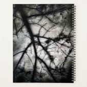 Abschluss Planer (Rückseite)